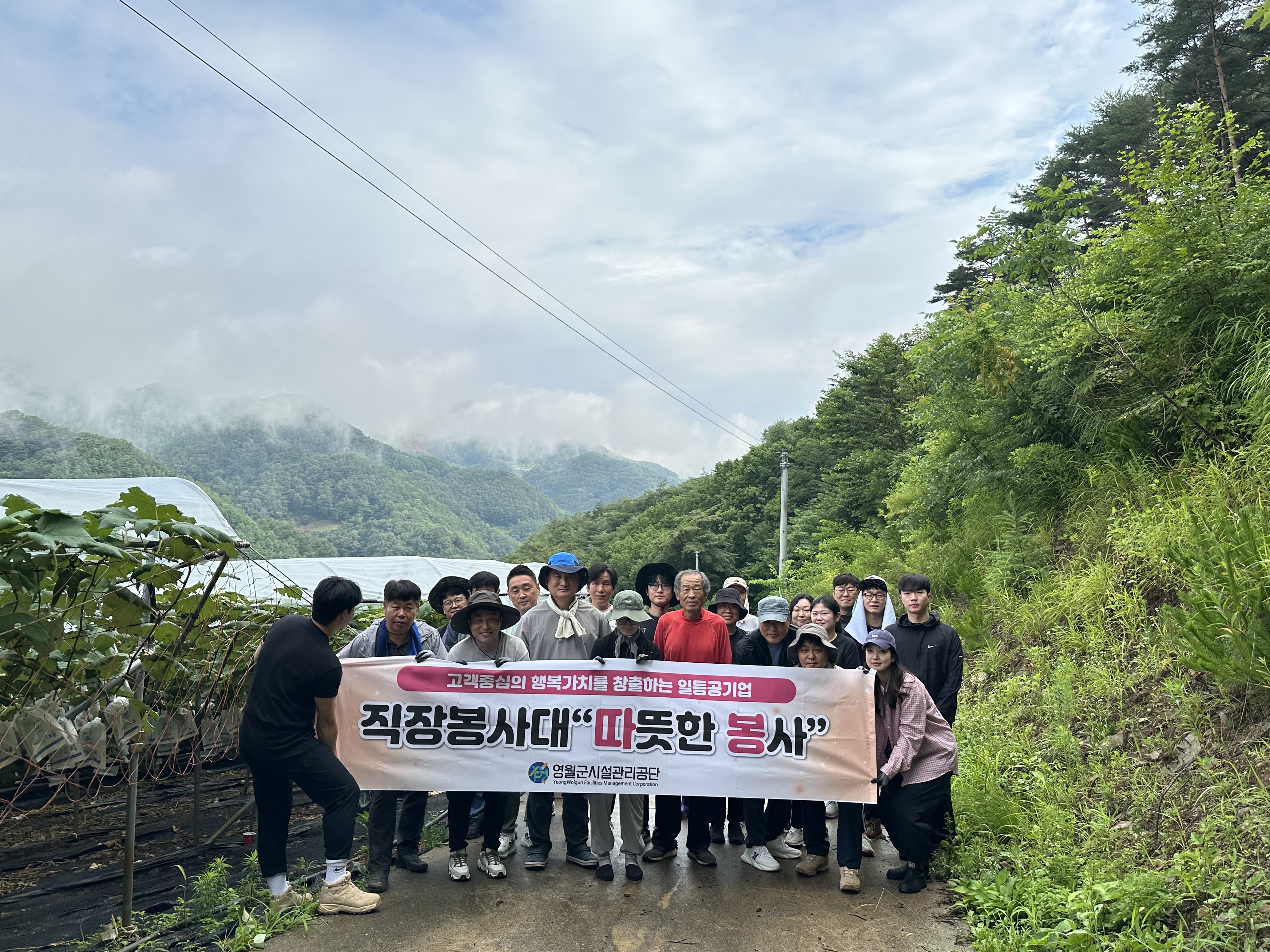 농촌 일손돕기 활동 이미지