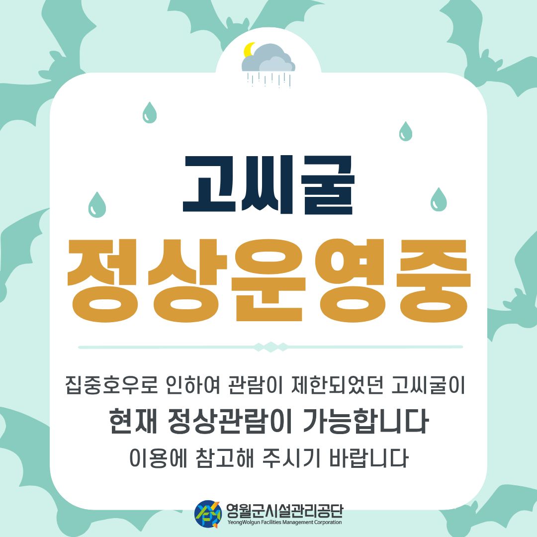 고씨굴 정상운영 안내