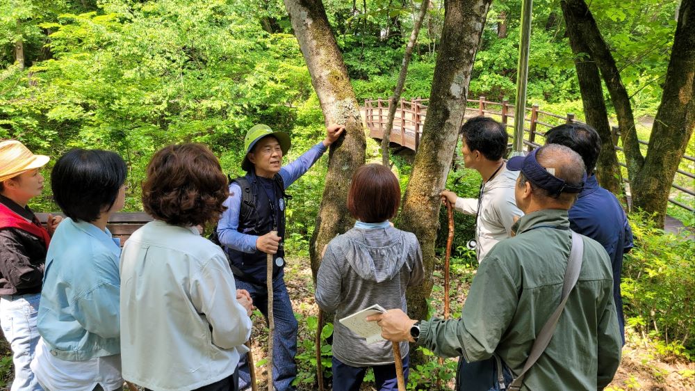 산림치유센터 사진12