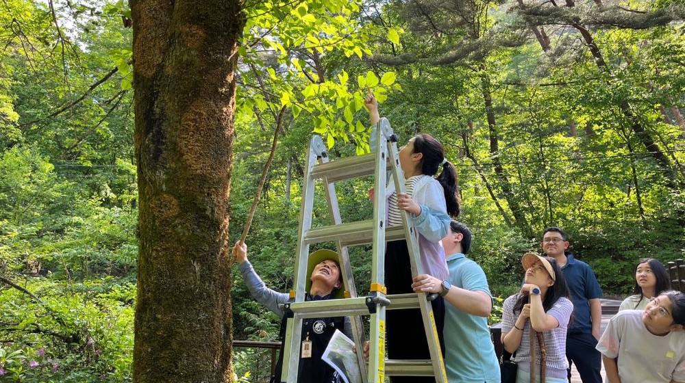 산림치유센터 사진14