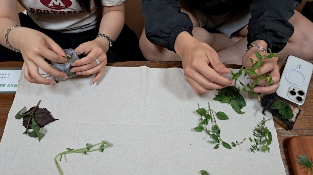 산림치유센터 사진2