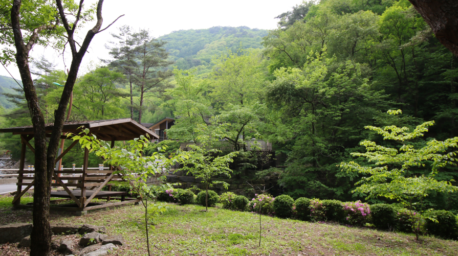 망경대산자연휴양림 사진5