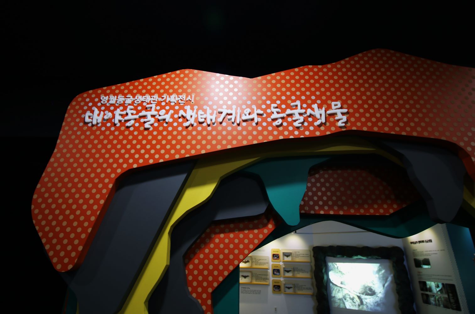 동굴생태관 사진12